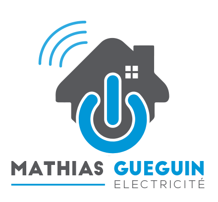 Mathias Gueguin Electricté – Maison Connectée Maison connectée Artisan Certifié KNX partners